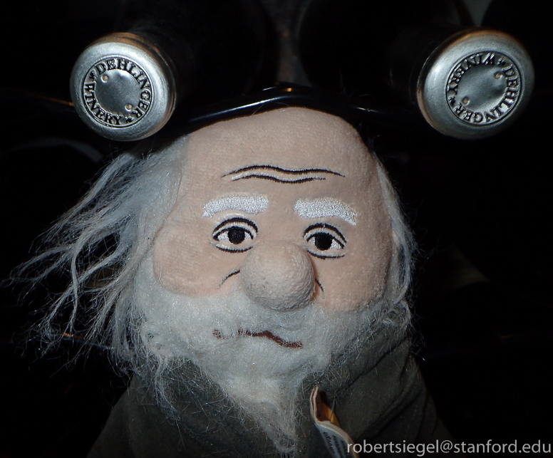 darwin and dehlinger